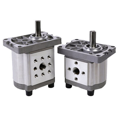 P8 Oil Pump_Hydraulic Parts_Lidingsheng (LDS) Lifting Machinery (Shandong) Co.